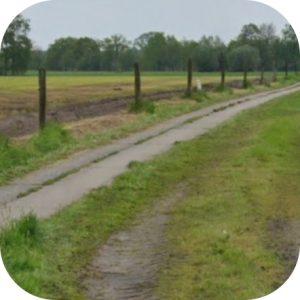 Hoeve